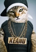 Keanu 2016 Poster