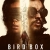 Bird Box 2 Small Poster